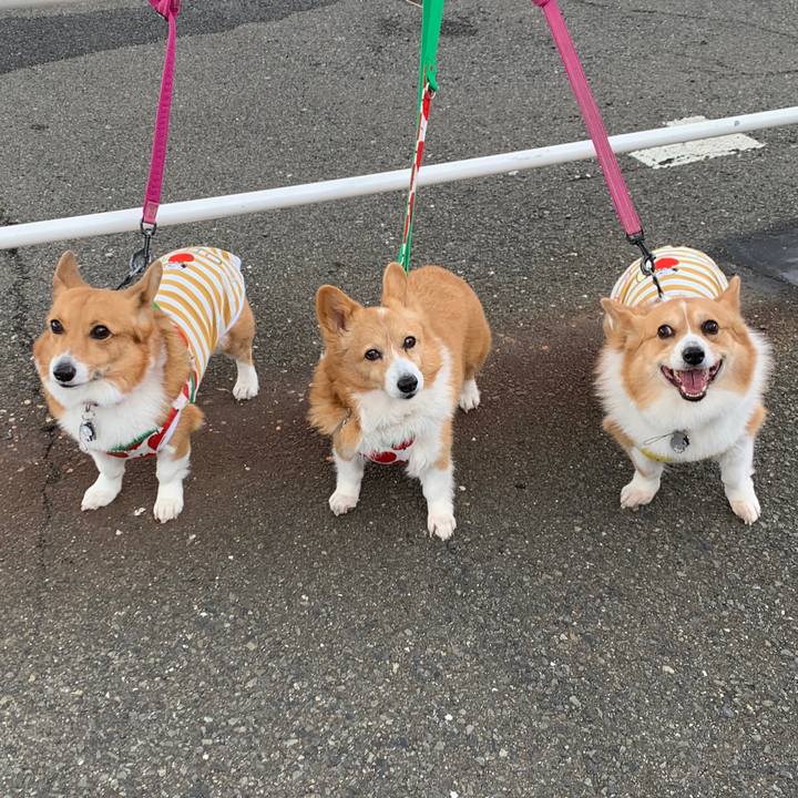 A2505344 3650 4a71 a12c dbfc4bfd7342 1605593568519