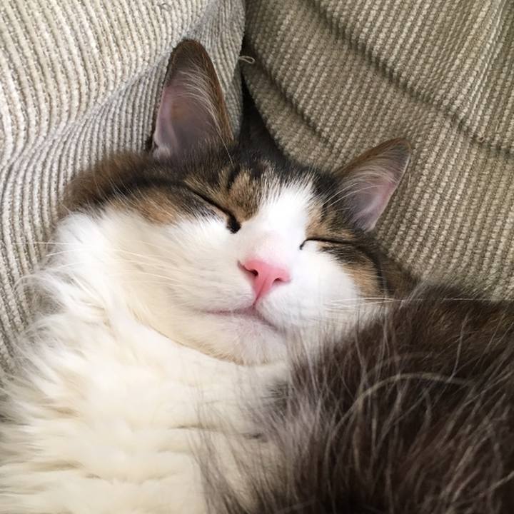 A250864e f918 424d 81ec 681ad755f833 1558357094039