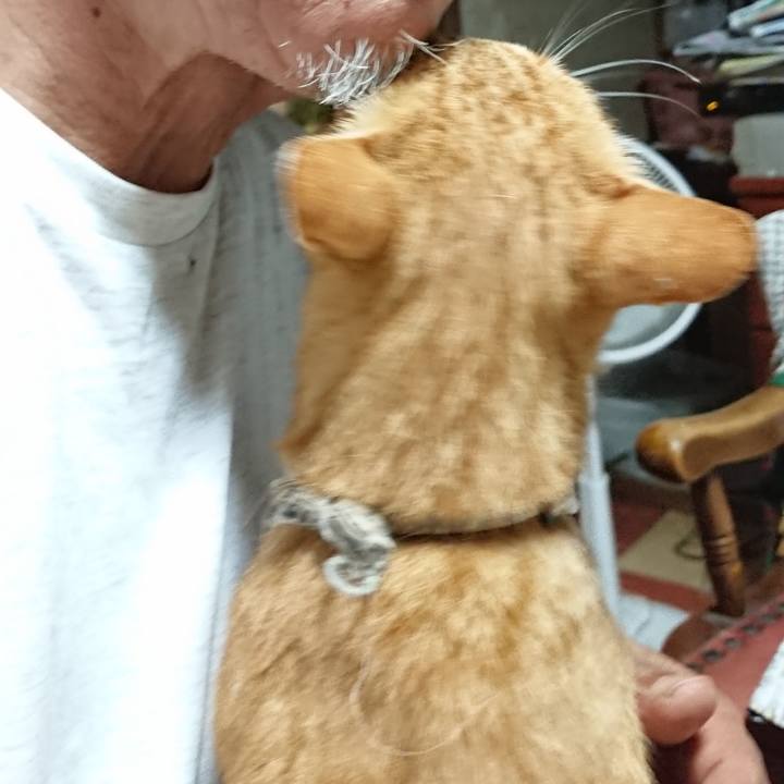 A2508a52 0916 4e2f 9e8b 6134fd5dc636 1596573454996