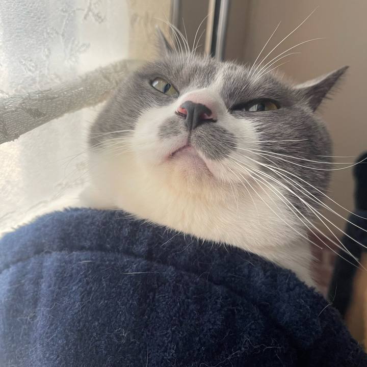 A25090be 3d08 40c9 9b03 3537d357237c 1740094944093