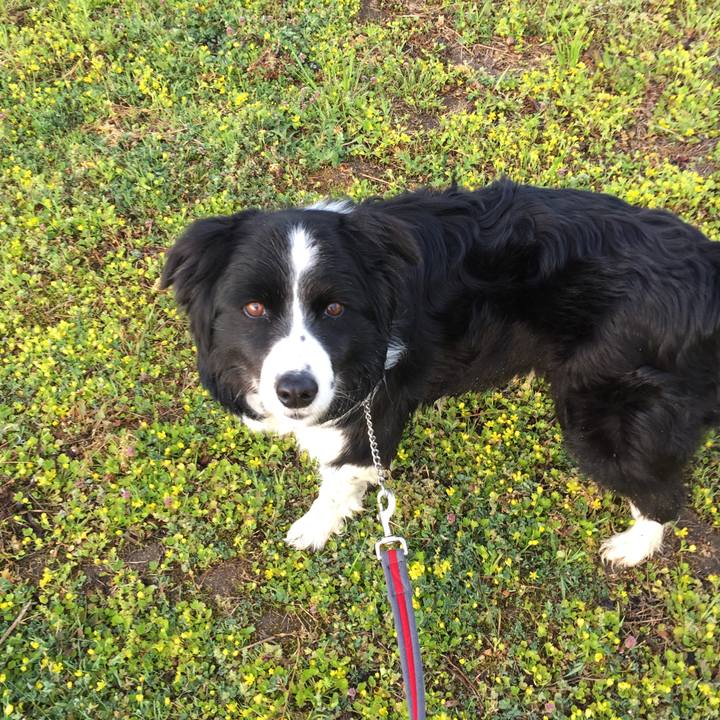 A250be64 1efb 4590 8dc2 8cc74b19a4e5 1554161890787