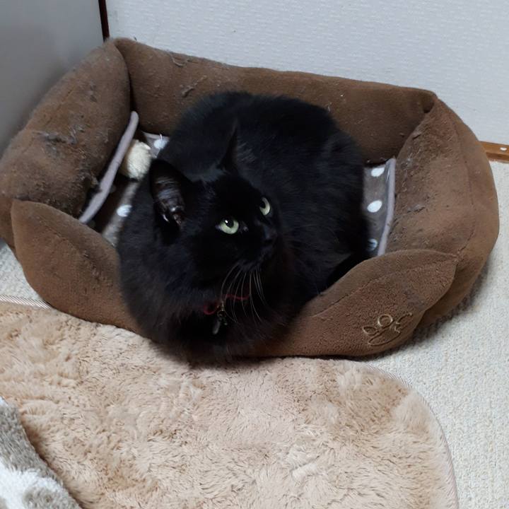 A251323e a9d7 49a0 b0a7 c94d6d9193b0 1518599116330