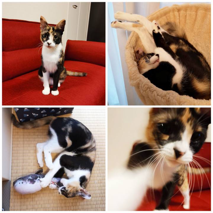 A2514153 cdaa 44ce 99a1 620fd4b423f3 1599898484205