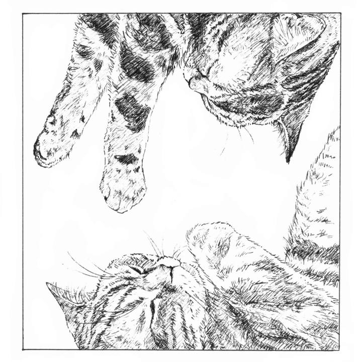 A2514fe5 1087 46f9 9ecf cc89b1e33eea 1583159285517