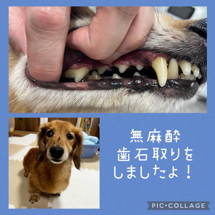 A25173a8 1025 4737 a9dd 2d5f13fcebac 1660228820250