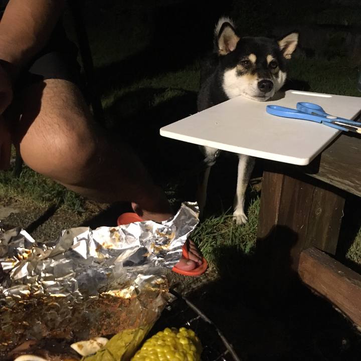 A251aa0c e2f6 4958 92f8 63a03c7bd39d 1565708320426