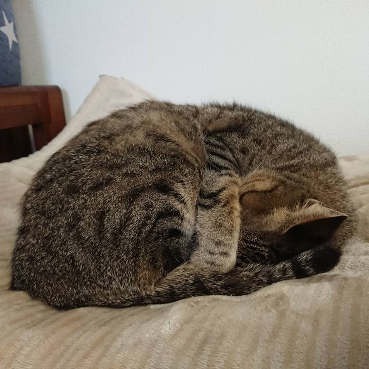 A251dd39 f543 46a1 866a 092adebc99ac 1584148889560