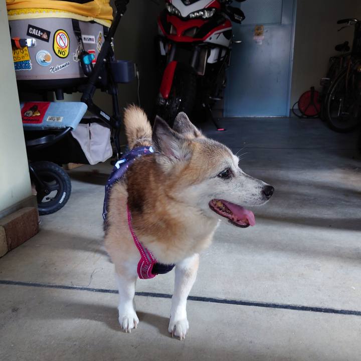 A251e014 c83e 4f6d ba8d 45f24752a794 1725440459604