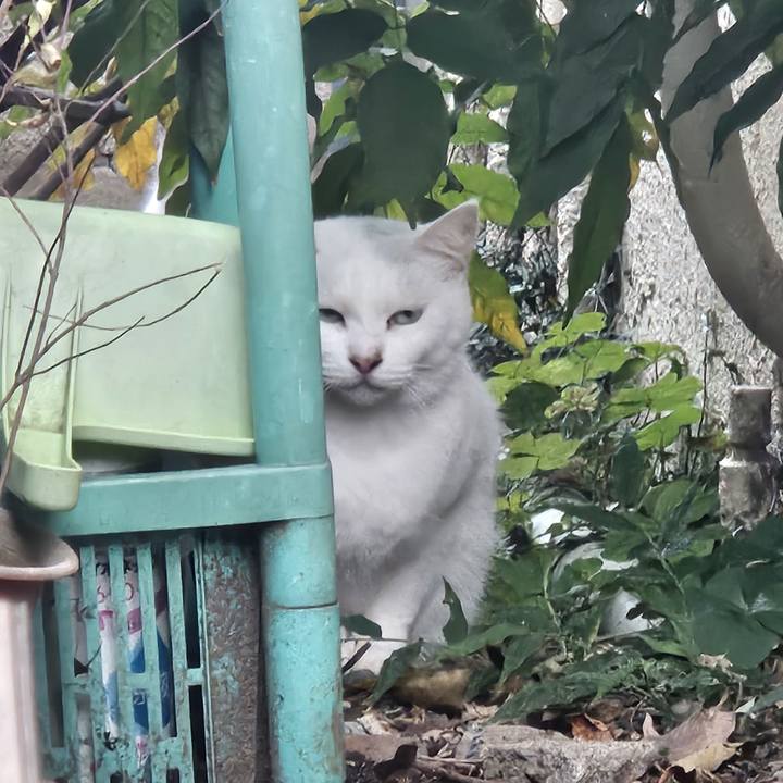 A25288f9 e007 47de 974a 6b8bfb019802 1732762206338