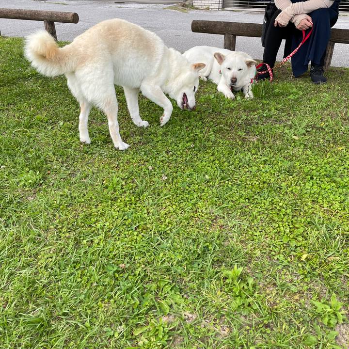 A252c731 c782 466e 83e4 d453c02ea4ff 1651837997558