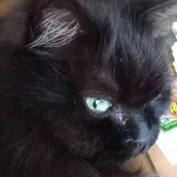 A2534097 9d4f 4064 b31a 6a7885977020 1653734070020