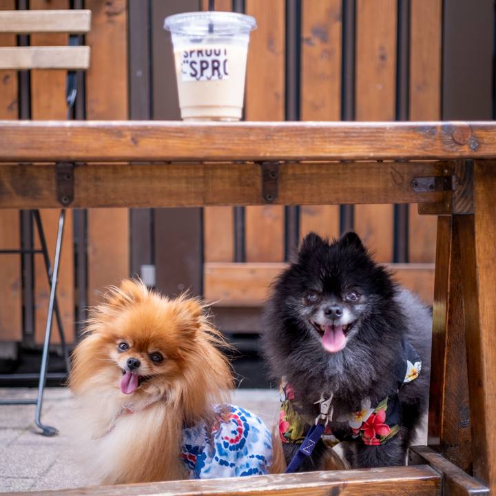 A2534132 beab 46be 95c0 af1014bf9ed3 1592263118568