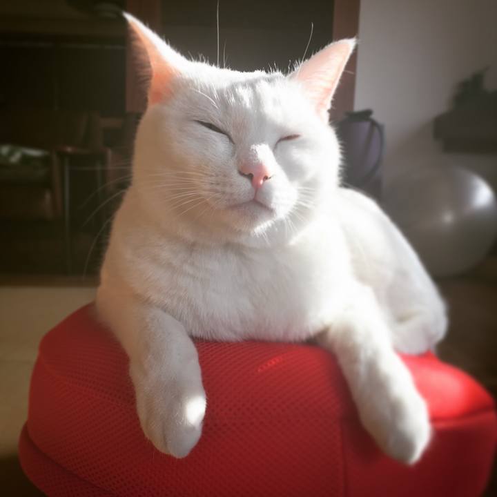 A2534aa2 df31 4d23 9c17 4a3312c9fafa 1513991588784