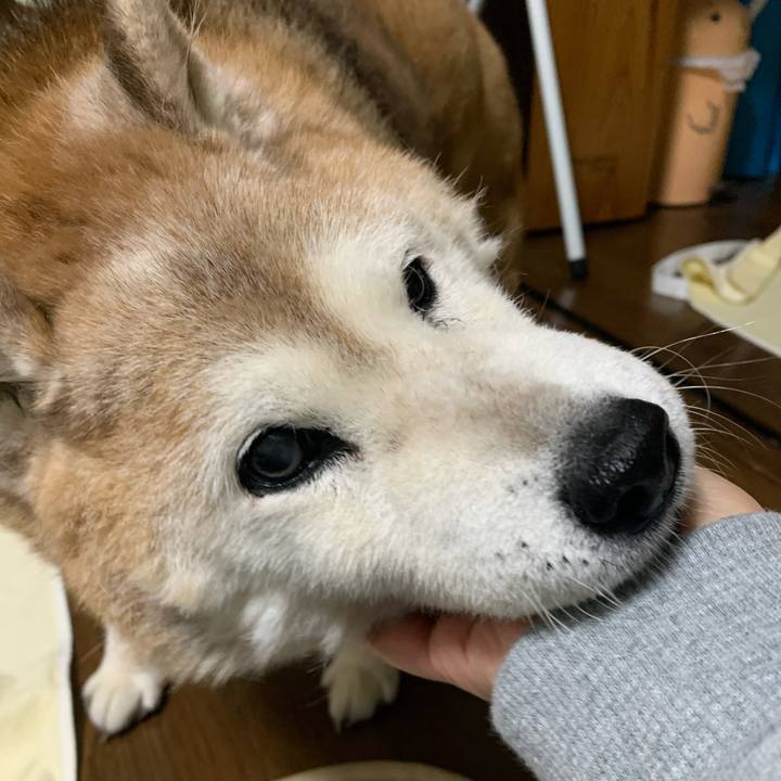 A253657a 70a7 471f 83ed c172a2c4001d 1670943922173