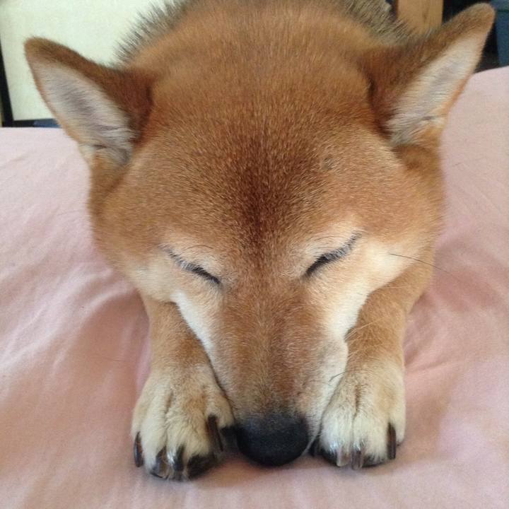 A253a4eb 962b 4bea 8117 e3d88733b19f 1531460218498