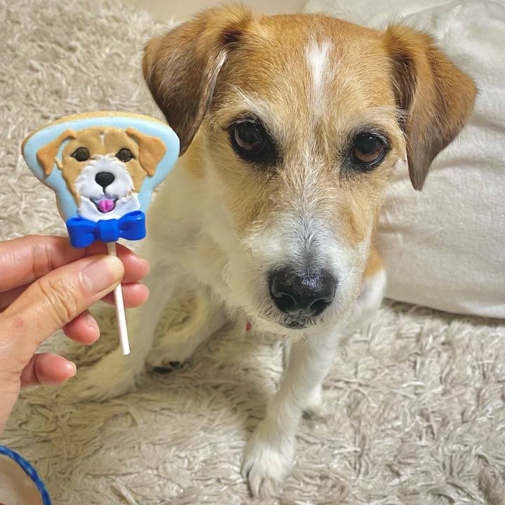 A253a6cb f5dc 4fdb bb1e 0f400f195698 1745550427091