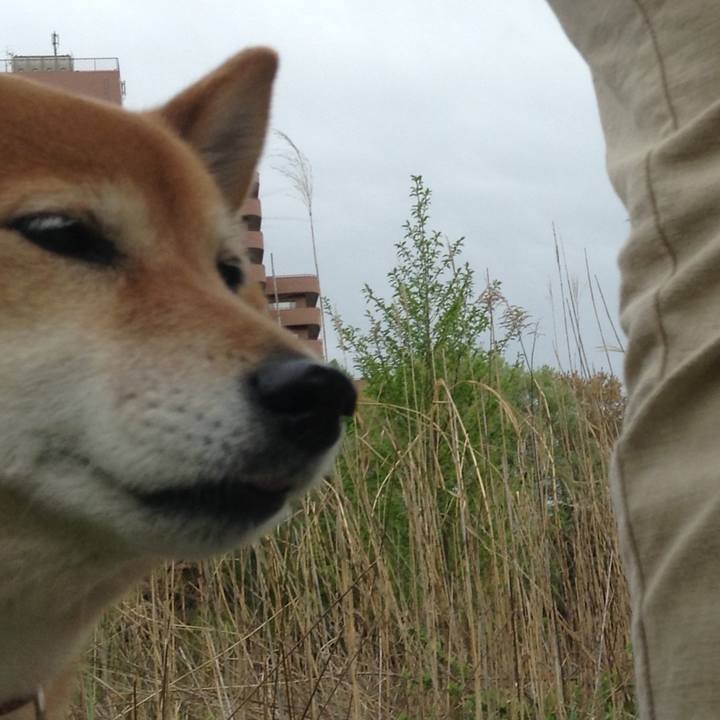 A253d0ac a23b 421e 96b8 af118d09bbec 1523089838155