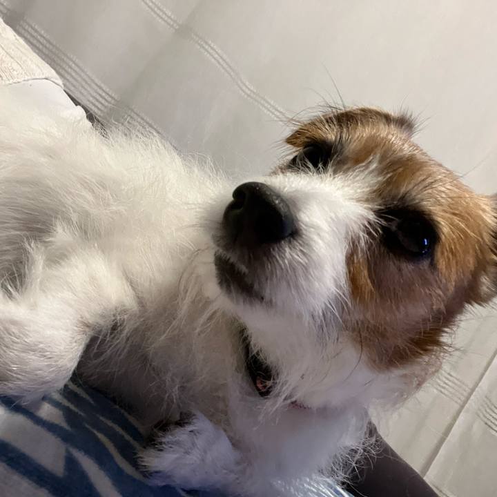 A253d407 2235 4c77 8a17 713512972d21 1698410895570