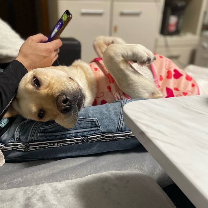 A253fbd2 3f87 40b8 b562 bb9f5862540b 1704702524227