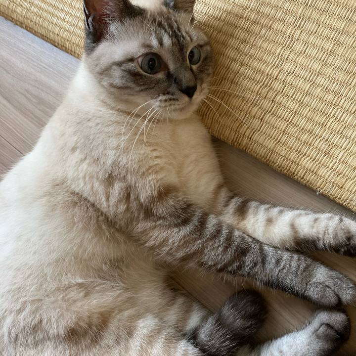 A25445ef 032d 4903 af2a 1e56595d1d78 1596356427355