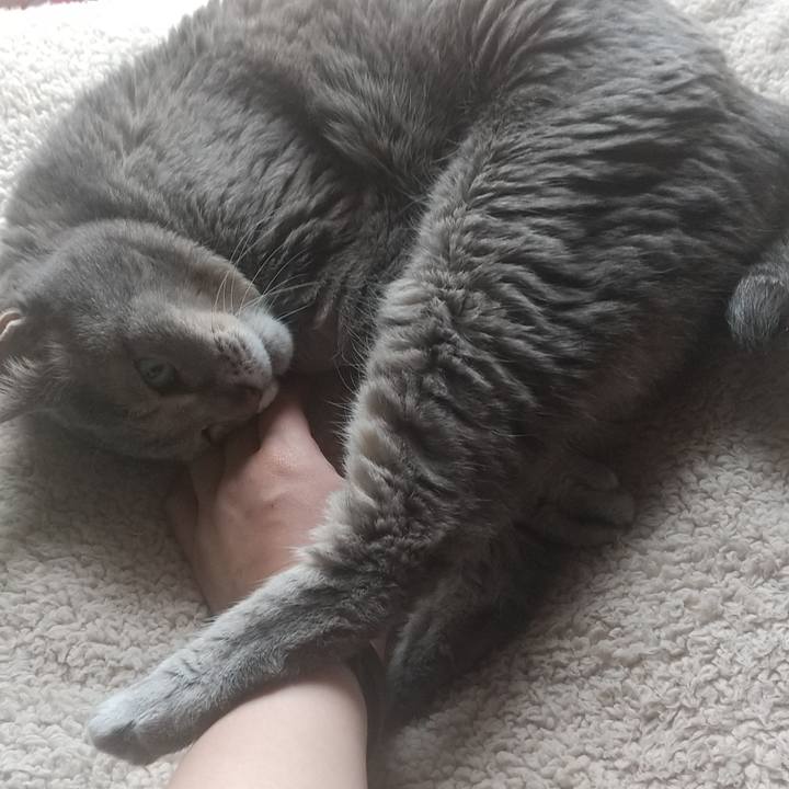 A2546427 05e1 4718 9c5c 098280b0ed1a 1685246813352