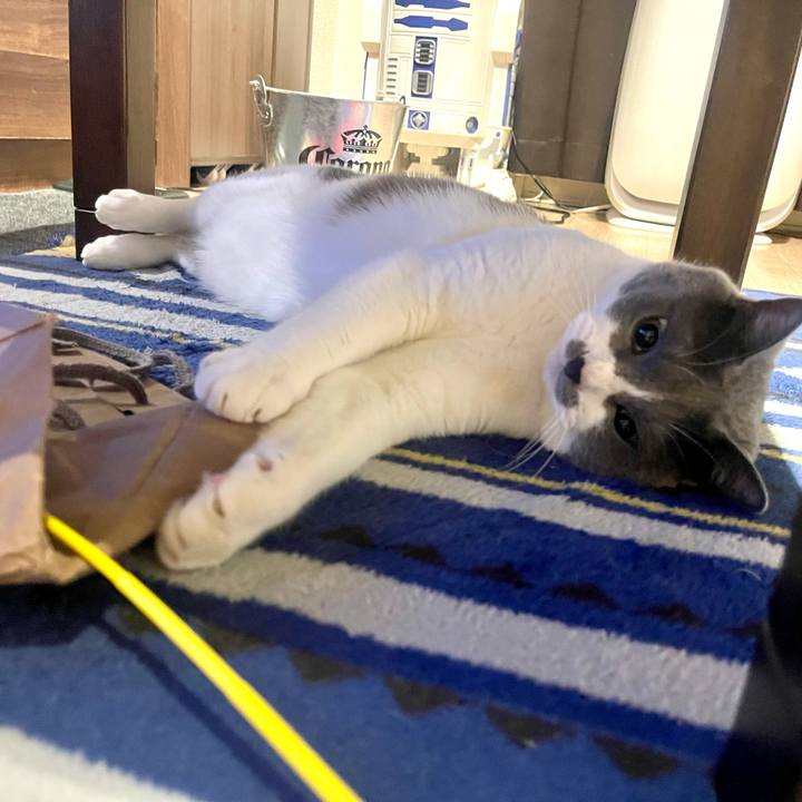 A25478ca e0ed 42aa 98c3 659466289575 1687272815471