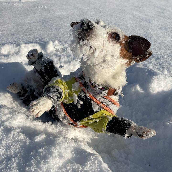 A2549ab7 bbd4 482b 8f5d df10ee830291 1768951775192