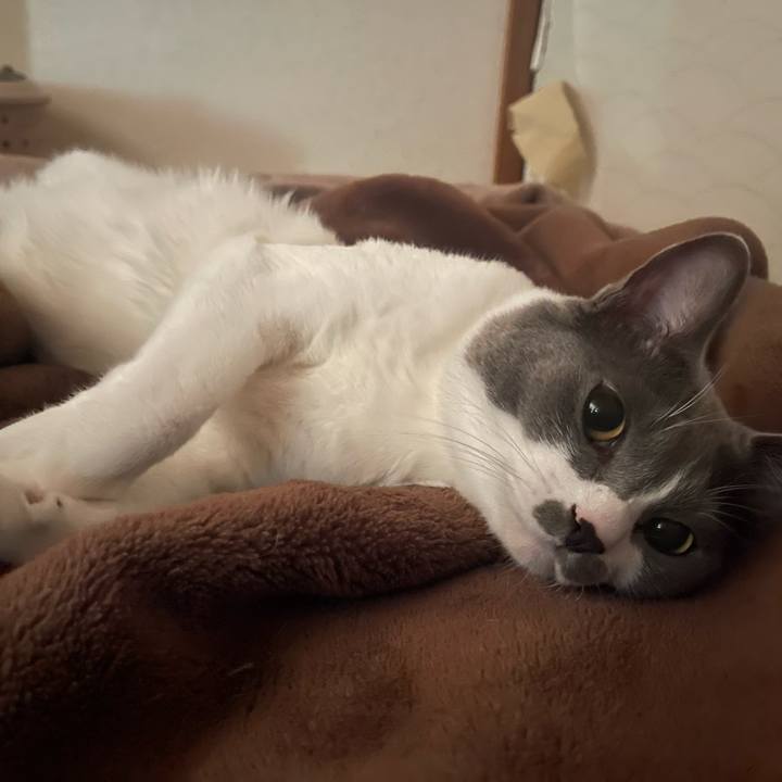 A254d223 0833 4129 a781 2e78d9ee45f7 1667516655980