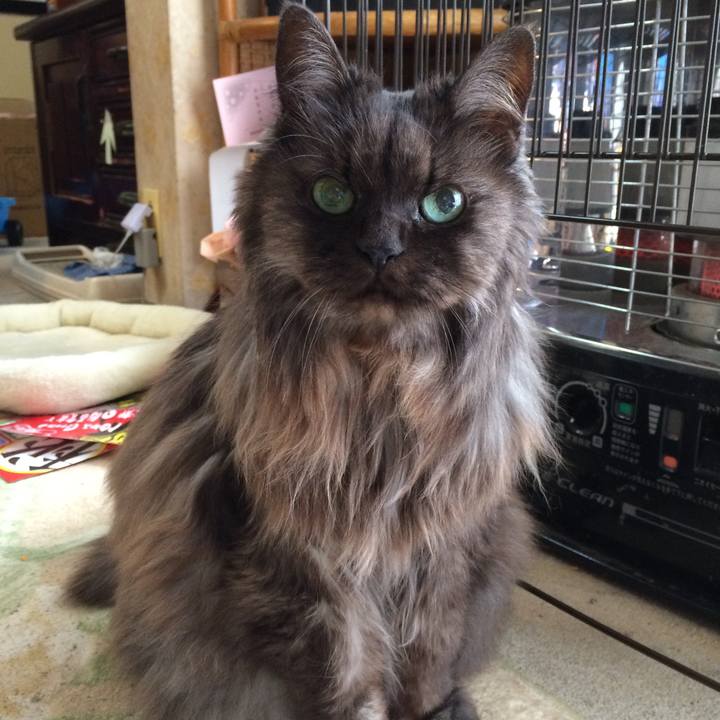 A2550ba6 8f4f 47d4 9bed 5d7ebd7a1527 1560672604122