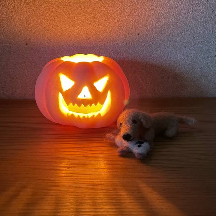 A2550e95 7b90 4b33 a5c6 90d9355379c0 1635336110574