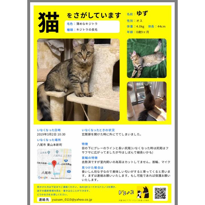 A2551241 e814 4766 b872 8a8df704ded5 1557419312736