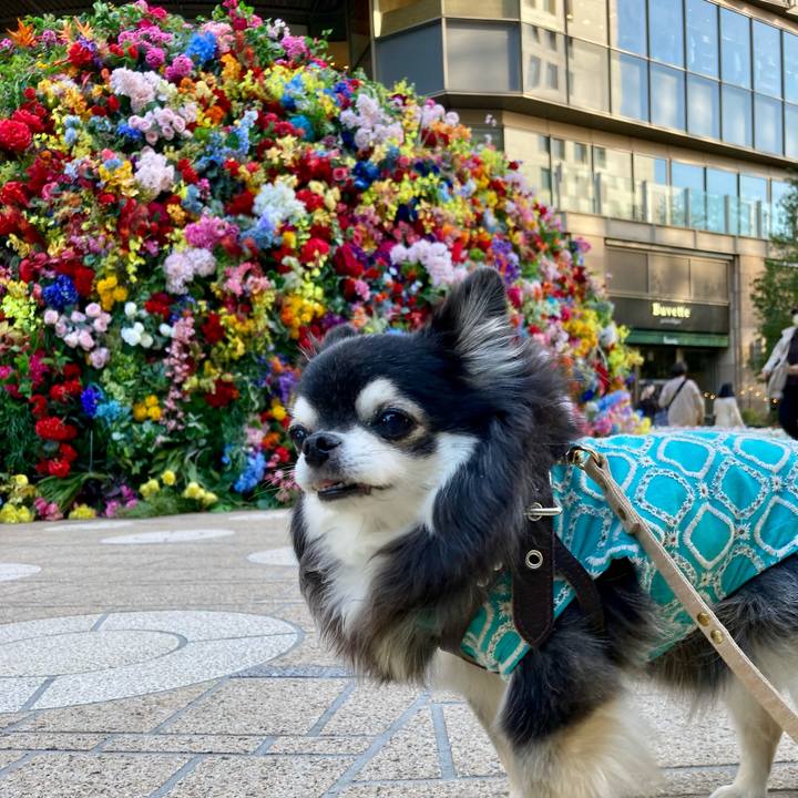 A2552591 0517 40dd 80b3 3ef434f19bd0 1775646892465