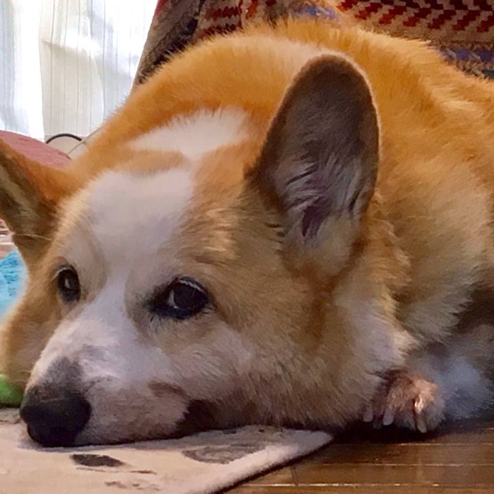 A25526fb b473 4e1f 975f 128efd1807ed 1563087979099