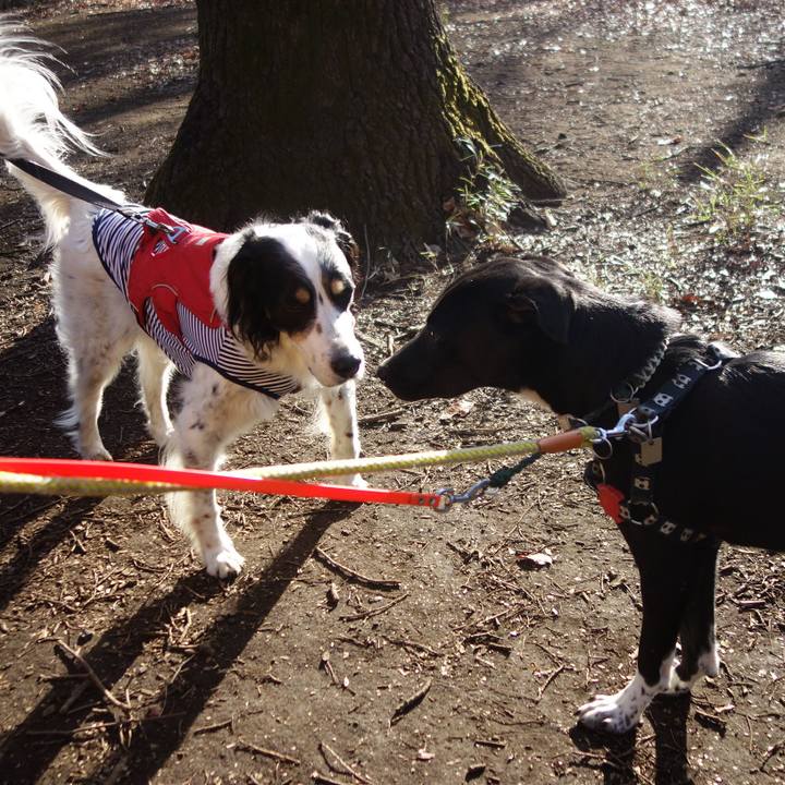 A25530ba a5be 479e b67c 0d0d08923067 1581553227224