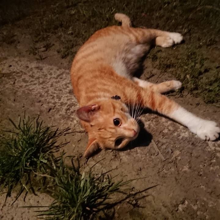 A2554011 989d 44f6 87bd 31e6ef62f032 1567771013014