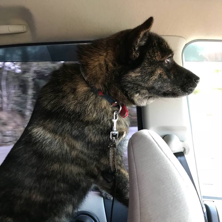 A2554552 99ca 49d4 871a ce4d92194e4f 1521179146250