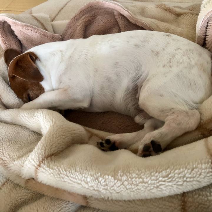 A25548c3 e3d2 4a11 95fb 888159599c52 1717401631515