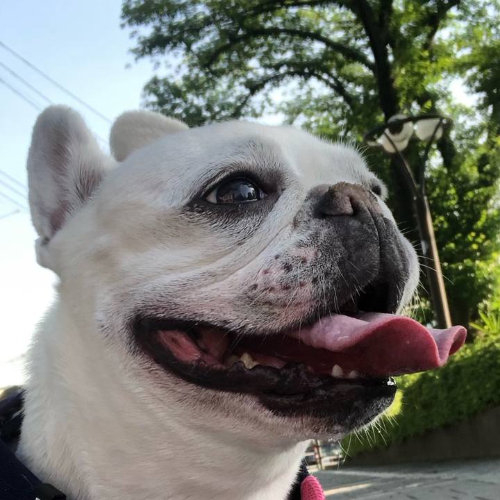 A2558510 17d8 4521 a3f9 cd685fc16b34 1619868729935