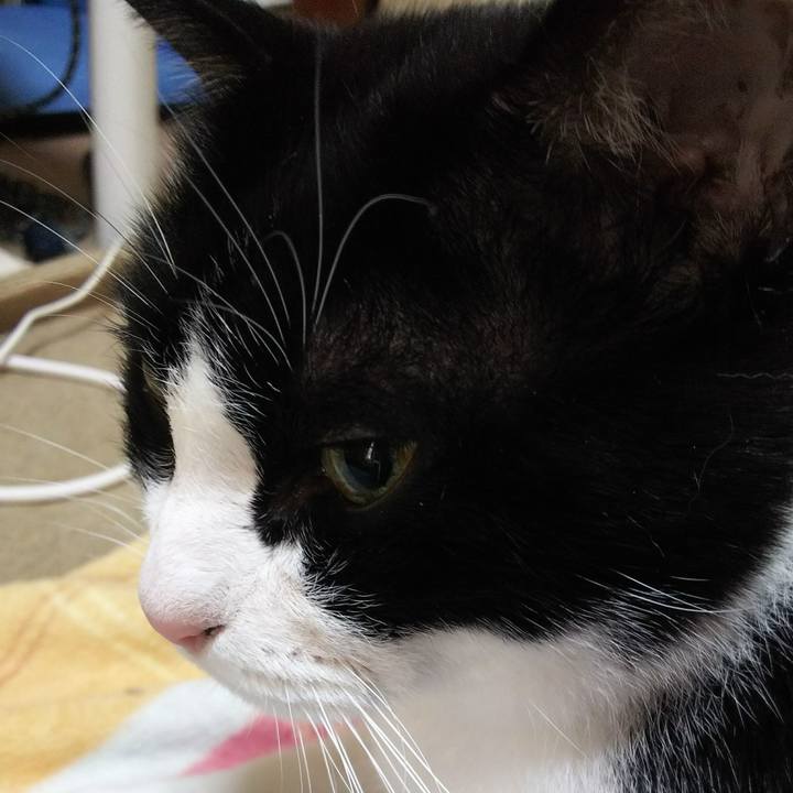 A2559e0b 8675 4ace 84ef 97747f1b1d87 1542505457420