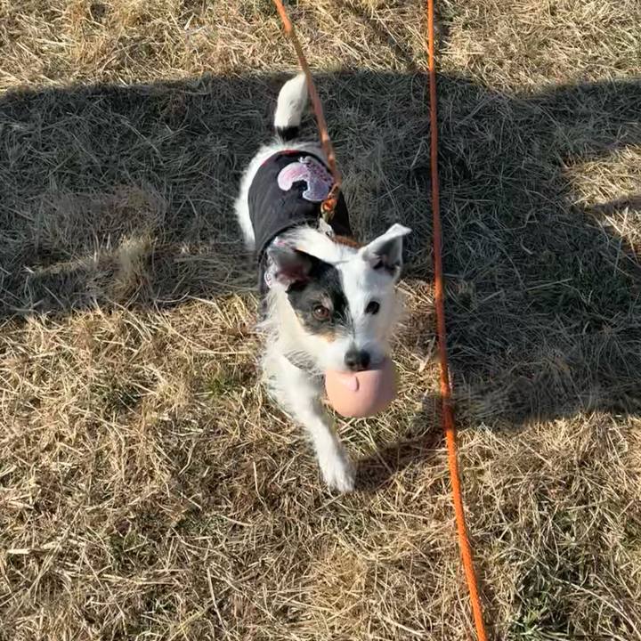 A255a897 4293 4e03 9255 050fb66d4528 1770166581916