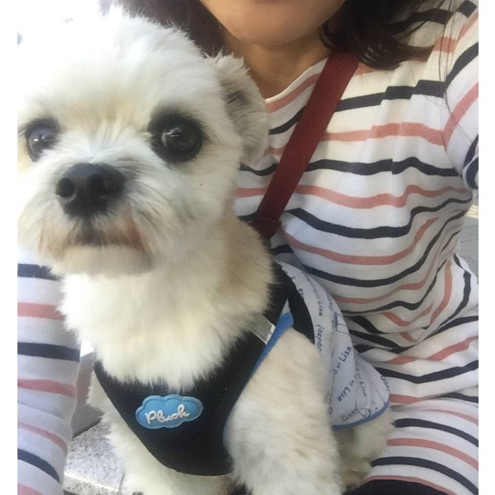 A255be0d 6246 4de2 8169 561a96360a8f 1540464808356