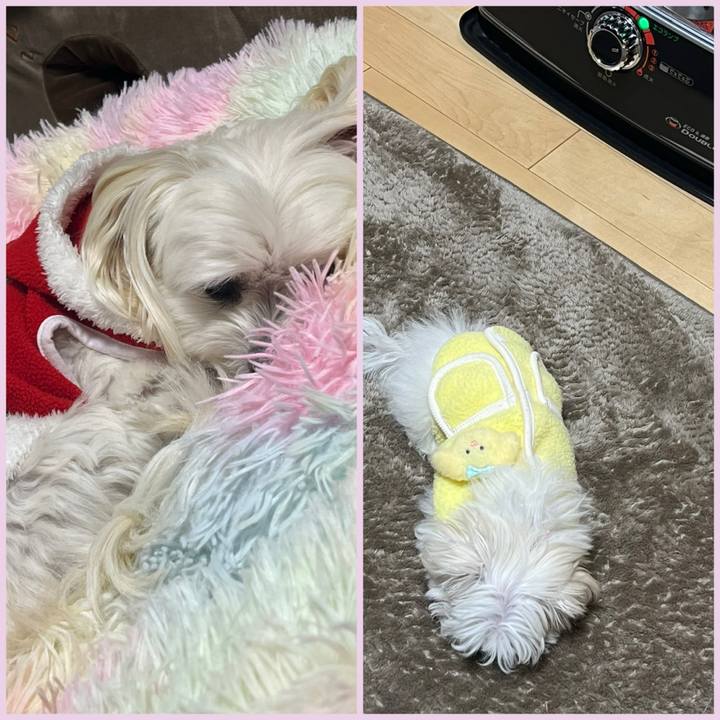 A255c80e 7ddc 40d2 955d 758f6e13589d 1703408399192