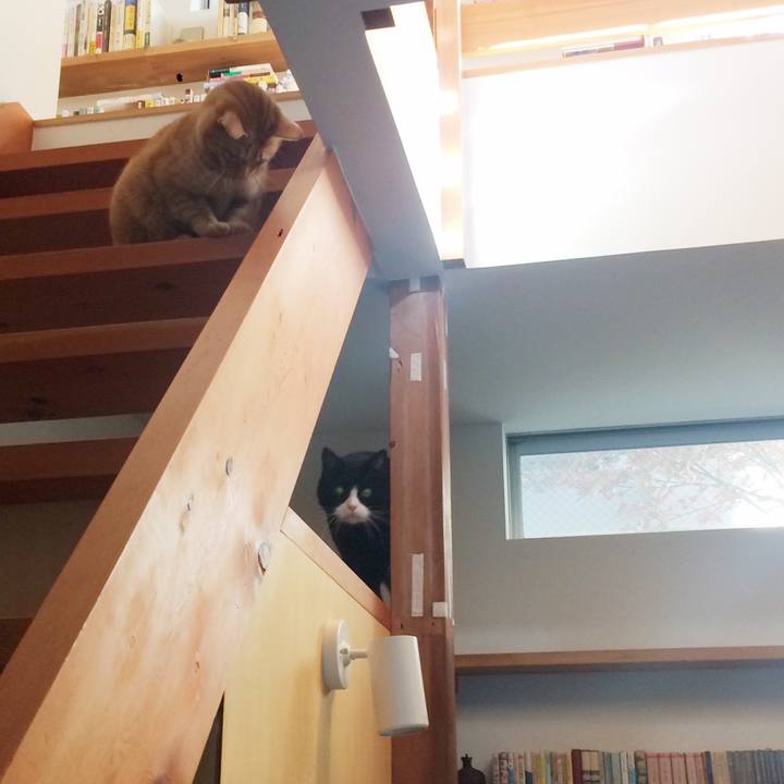 A255e1dc ff54 4fca be98 2c843f456b63 1511755339169