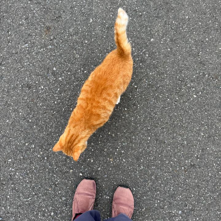 A2560d94 80a9 4491 b3f9 c4f4f698d5bf 1759976635122