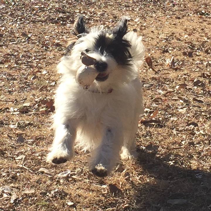 A2564b58 dad3 485d b24b c66ffbbcb46c 1518991834489