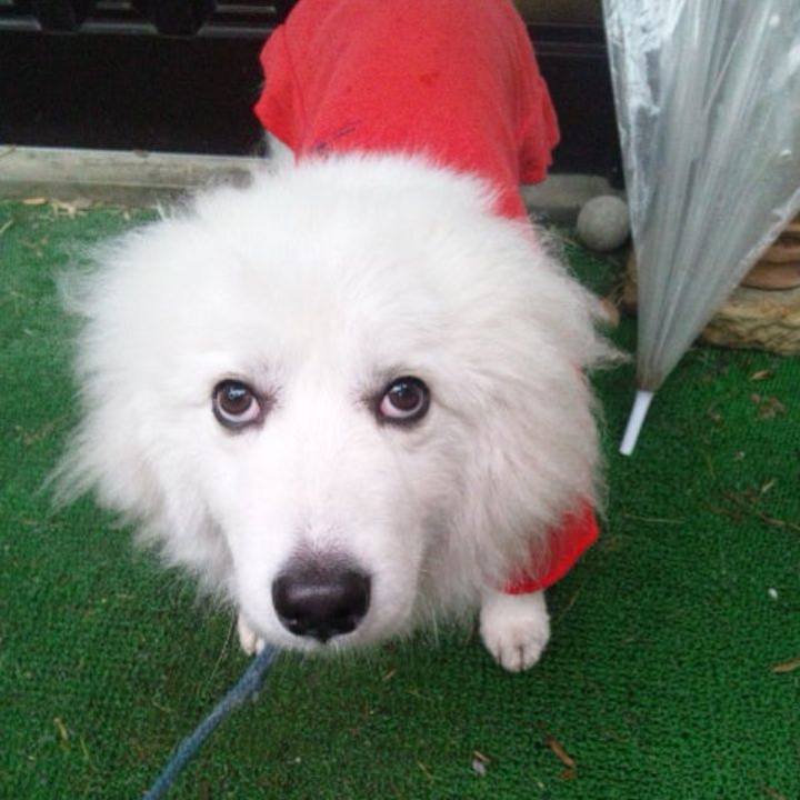 A2565f8c 0281 464b 9f4d ea969c2218a3 1680864404502