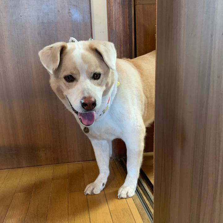 A2568cb7 1079 46d1 a2f2 985265c0278e 1567474350944