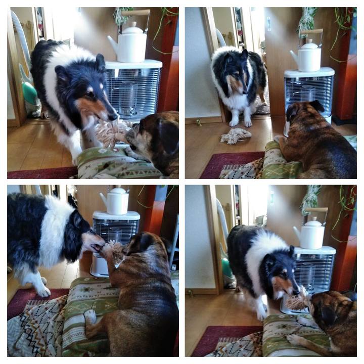 A256a6bf 135a 4caf a928 e69532ce0cd7 1521114380542