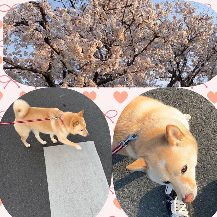 A256ecba a1f7 4e3e af14 58760ab16b59 1616820611984