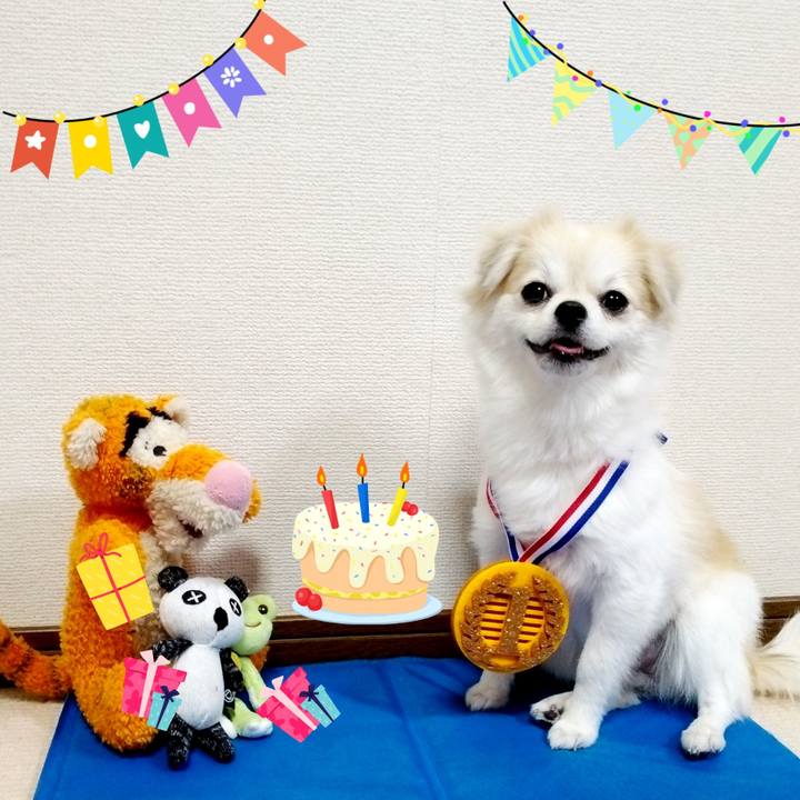 A2570524 c595 4c24 ace7 1aa4840beacb 1632052573501